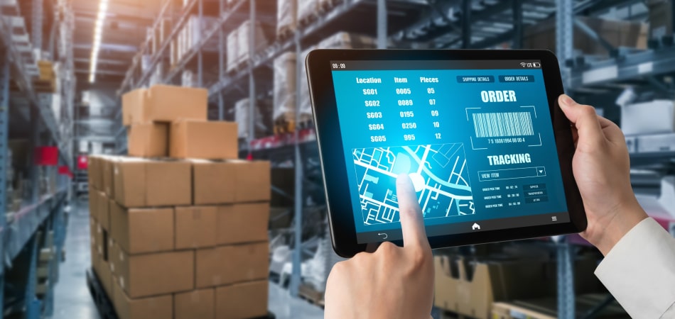 Understanding Your Business Data